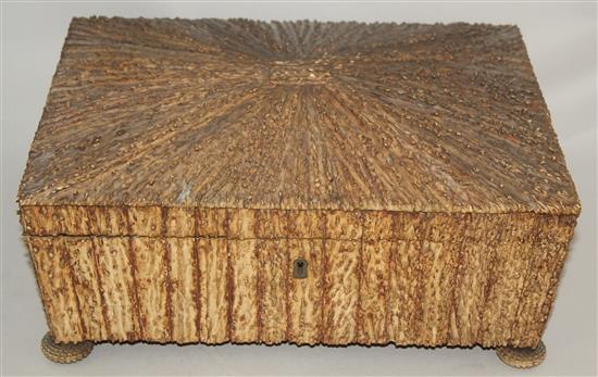 A 19th century Anglo Indian vizagapatam rectangular stag horn work box, 13in.